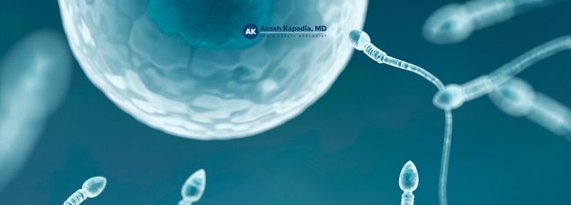 Healthy sperm is able to fertilize an egg after a vasectomy reversal with Dr. Akash Kapadia